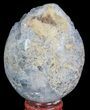 Crystal Filled Celestine (Celestite) Egg - Madagascar #66112-2